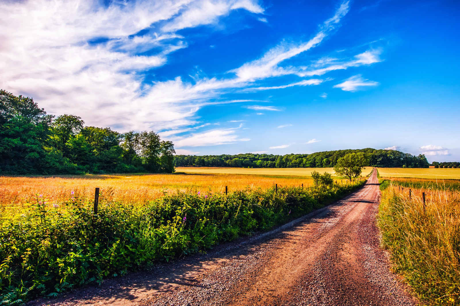 der Himmel, Straße, Bäume, Feld, Wolken, Schatten, der Zaun, Bauernhof