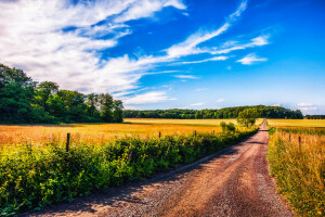 des nuages, ferme, champ, route, ombre, la barrière, Le ciel, des arbres