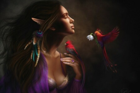 birds, Elf, feathers, flower, girl, mood