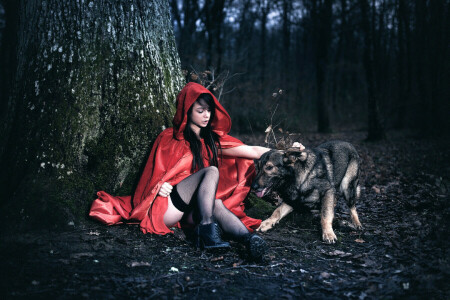 Arya, cloak, dog, forest, girl, Laurent KC, legs, tree