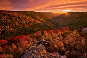 outono, floresta, panorama, luz. natureza, pintura, pôr do sol