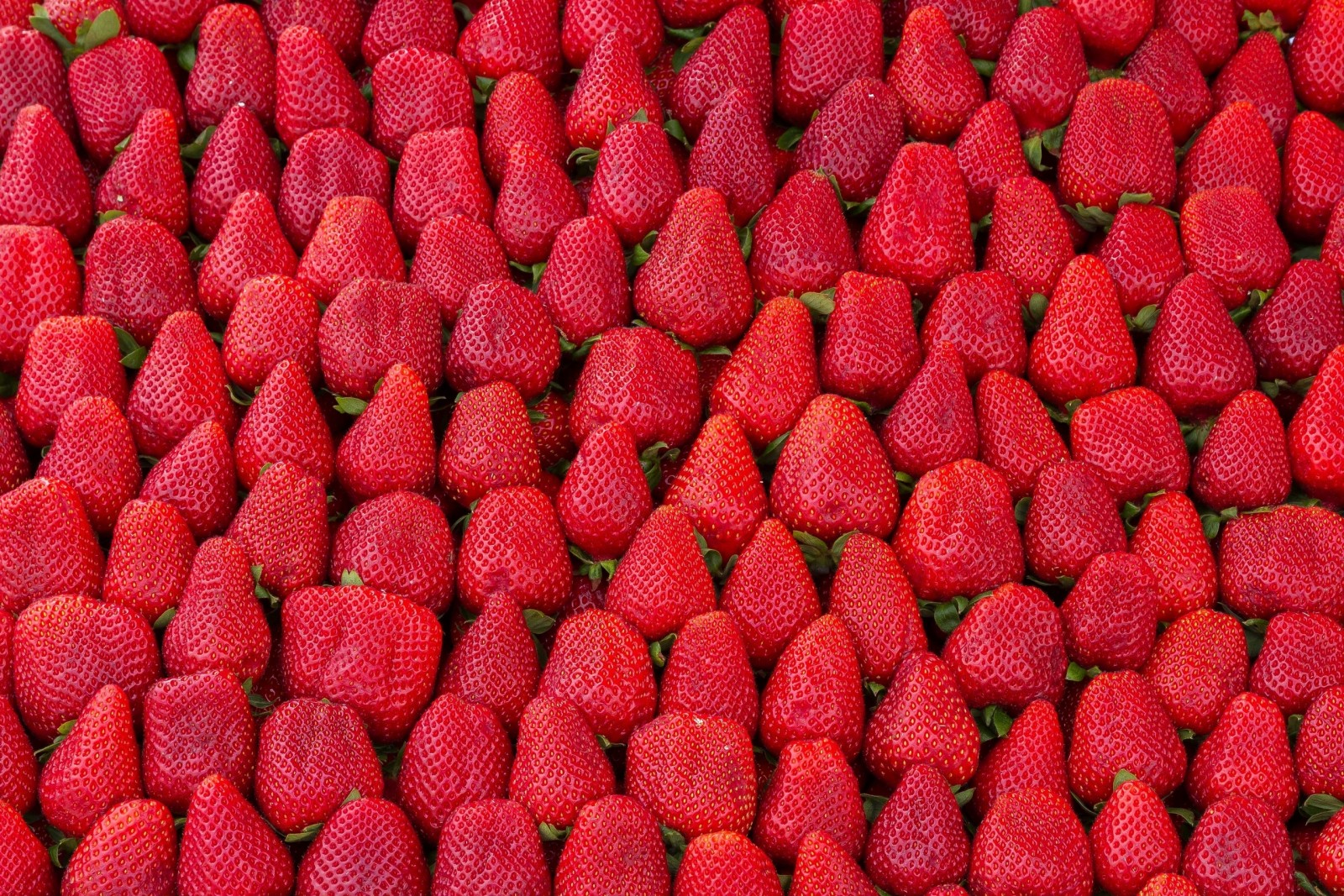 berries, strawberry, abundance