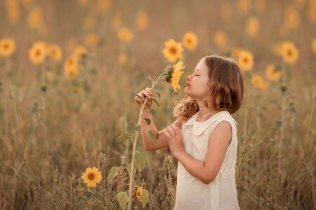 niña, verano, girasol