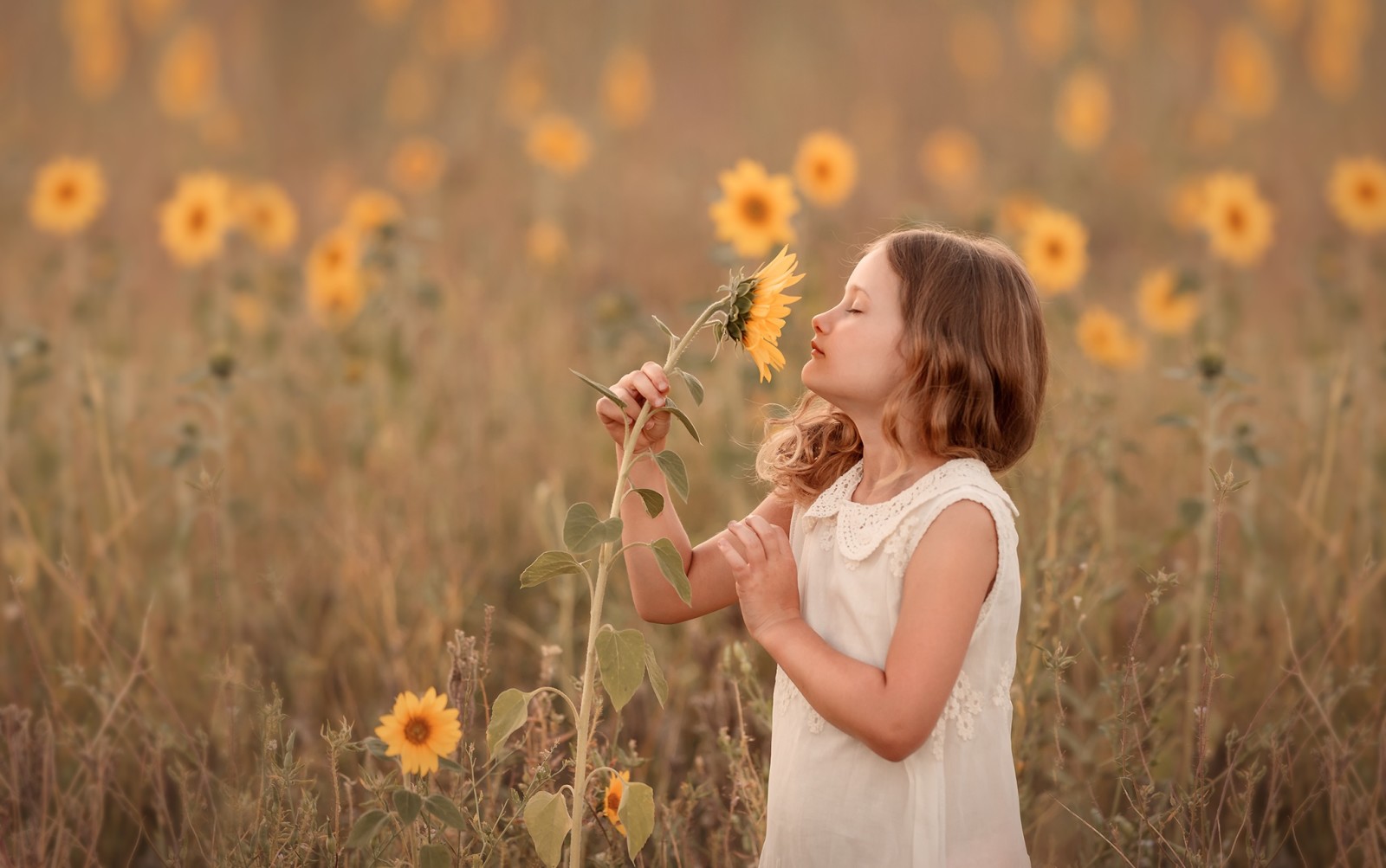 summer, girl, sunflower