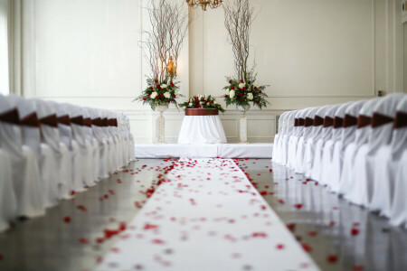 chairs, flowers, petals, track