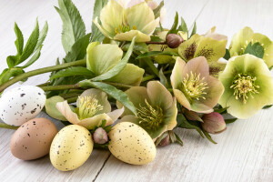 Tablero, Pascua de Resurrección, huevos, flores, eléboro, fiesta