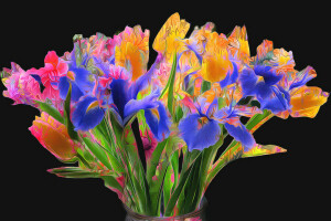 bouquet, fleurs, iris, ligne, peindre, Tulipe