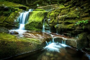 Andes, cascade, moss, New York, stones, The endsa, the state of new York, Tompkins Falls