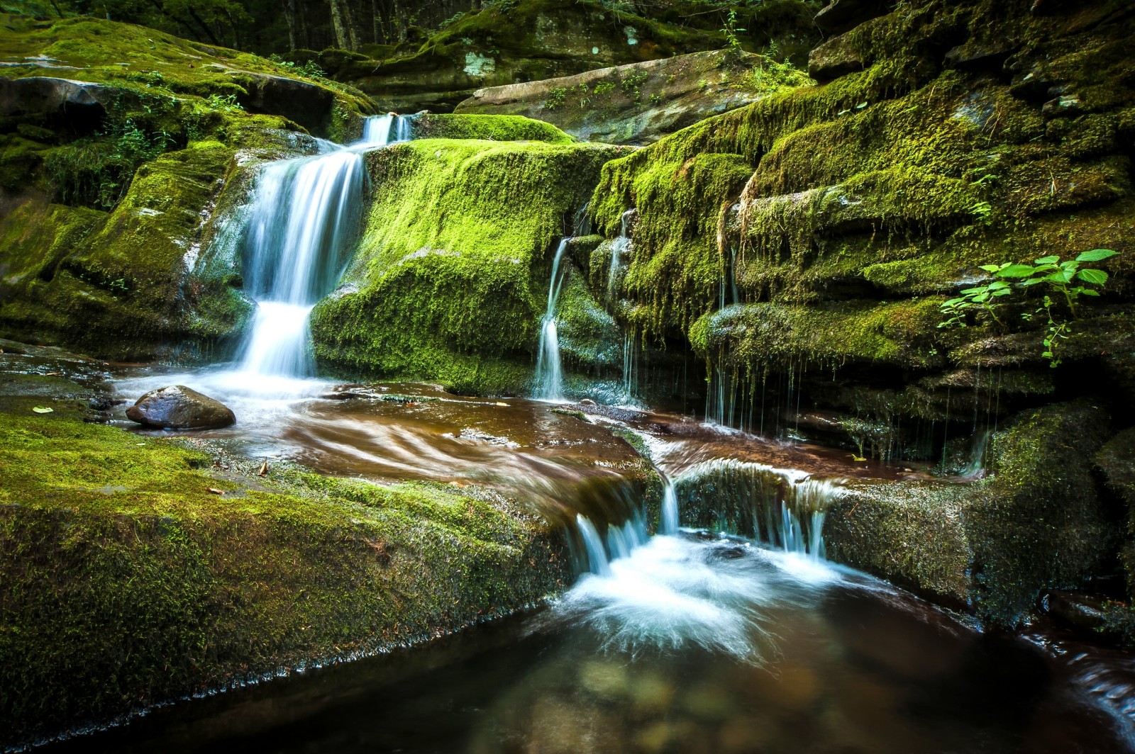 piedras, cascada, musgo, Nueva York, el estado de nueva york, cascada, Andes, Cataratas Tompkins