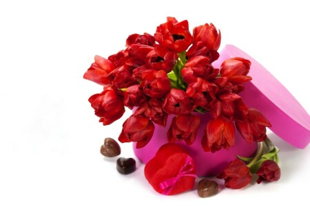 flowers, love, red tulips, tulips, valentine's day