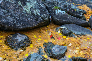 herfst, bladeren, stenen, stroom, water