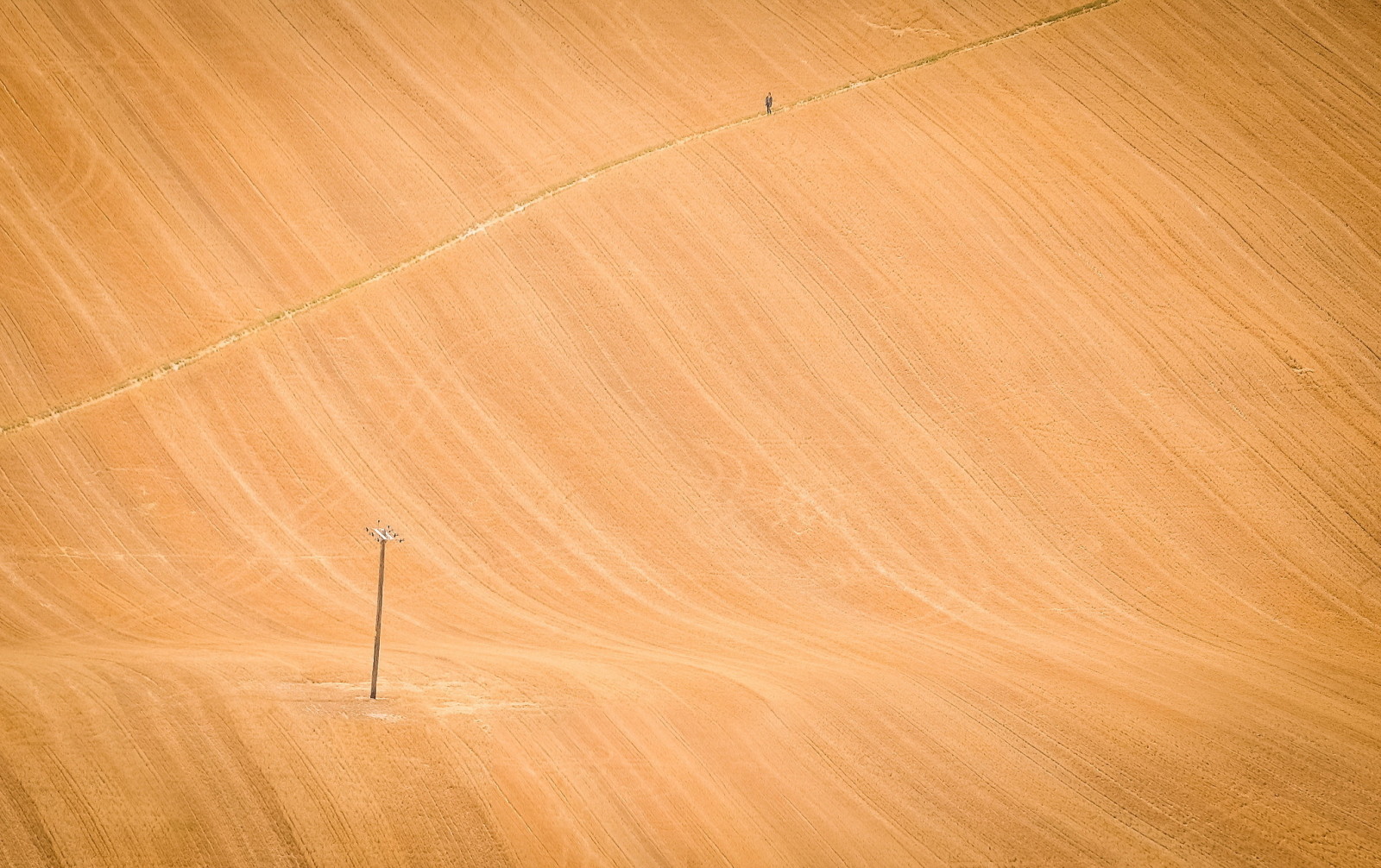 Straße, Feld, Menschen