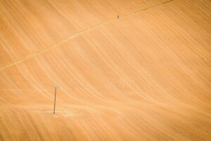 field, people, road