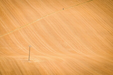 field, people, road