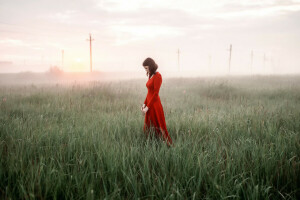 vestito, nebbia, ragazza, mattina, Rosa