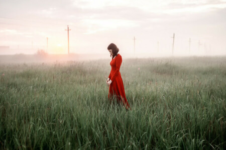 dress, fog, girl, morning, Rosa