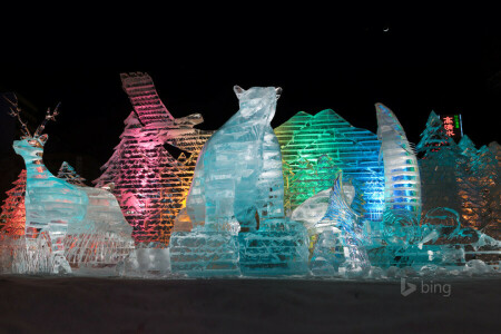 kleur, ijssculpturen, Japan, licht, nacht, Sapporo, Winterfestival