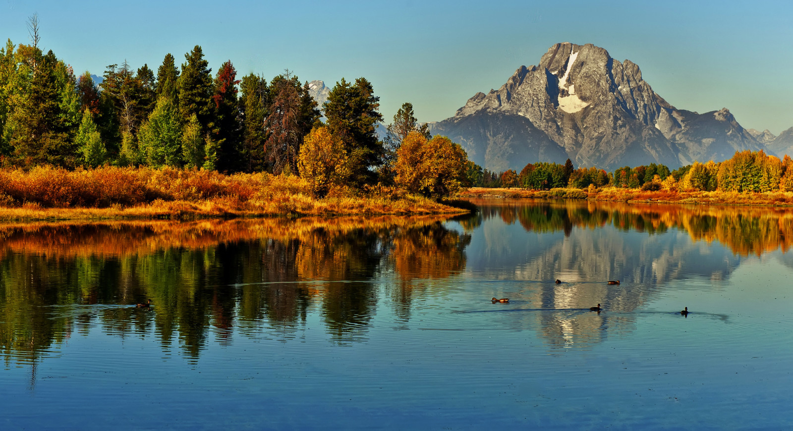 autumn, forest, the sky, river, sunset, trees, mountains, duck