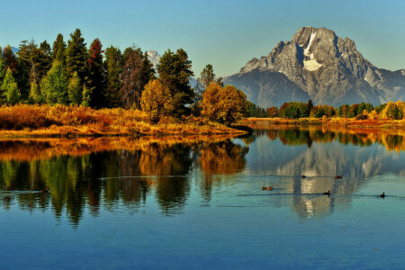 autunno, anatra, foresta, montagne, fiume, tramonto, il cielo, alberi