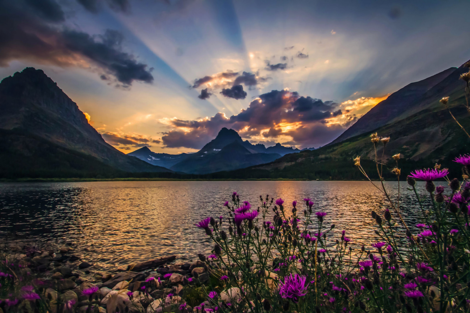 natuur, landschap, bloemen, wolken, Rays, mooi