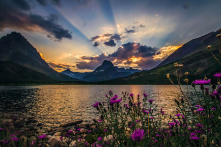 beautiful, clouds, flowers, landscape, nature, Rays