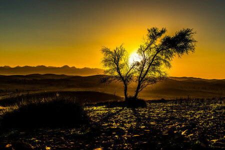 montanhas, pôr do sol, o céu, o sol, árvore