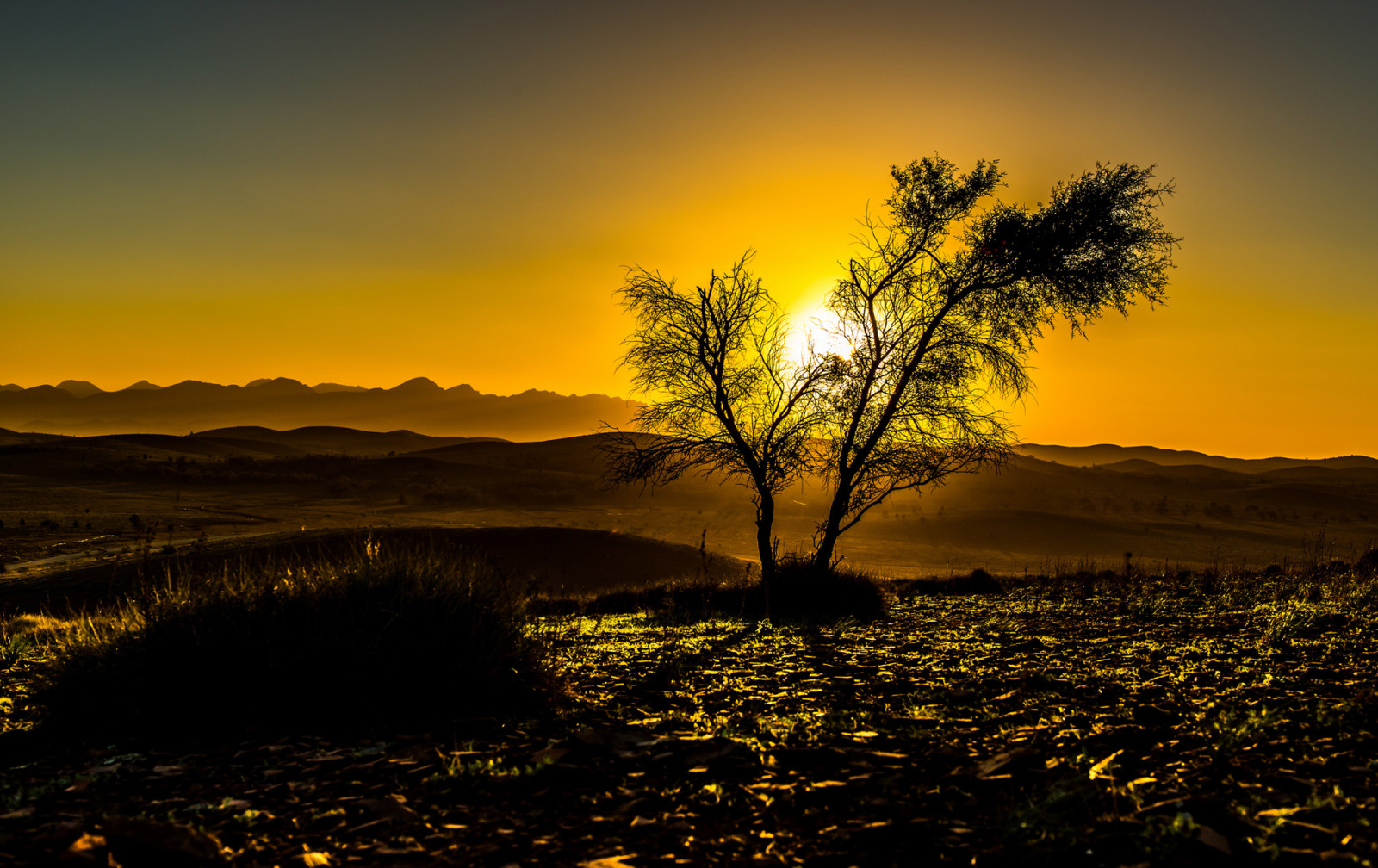 træ, himlen, solnedgang, bjerge, solen