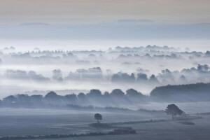 campo, niebla, Mañana, arboles, Valle