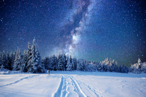 forêt, clairière, neige, étoiles, la voie Lactée, Le ciel, des arbres, hiver