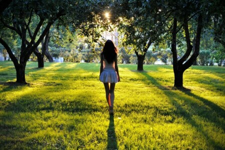 brunette, fille, parc, le coucher du soleil