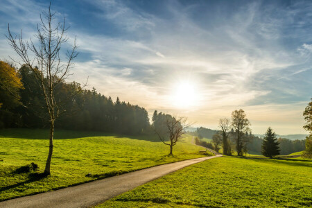 Wolken, Feld, Wald, Gras, Grüns, Straße, Sommer-, der Himmel