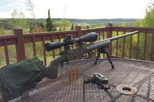 Fusil de sniper, T-76, armes