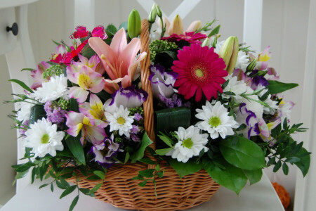 basket, bouquet, Chrysanthemum, flowers, Gerbera, Lily, photo