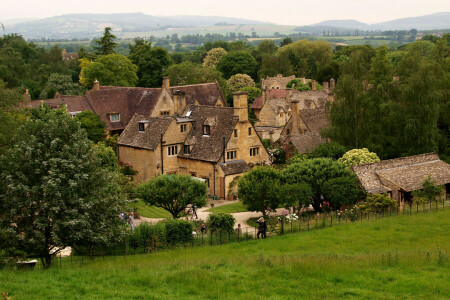 England, gress, hjem, bilde, Tewkesbury, byen, trær, Storbritannia