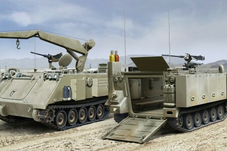 APC, Auletta, IDF, Israel, M113, Las FDI