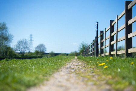 clôture, fleurs, herbe, chemin, ciel, Ensoleillé