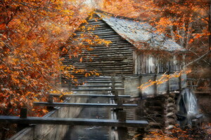 Contexte, moulin, la nature