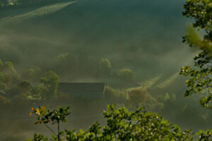 fog, house, morning, Rays, roof, slope, trees