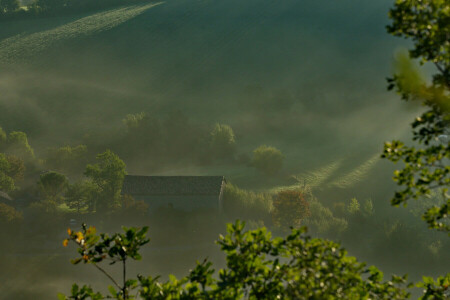 brouillard, maison, Matin, Des rayons, toit, pente, des arbres