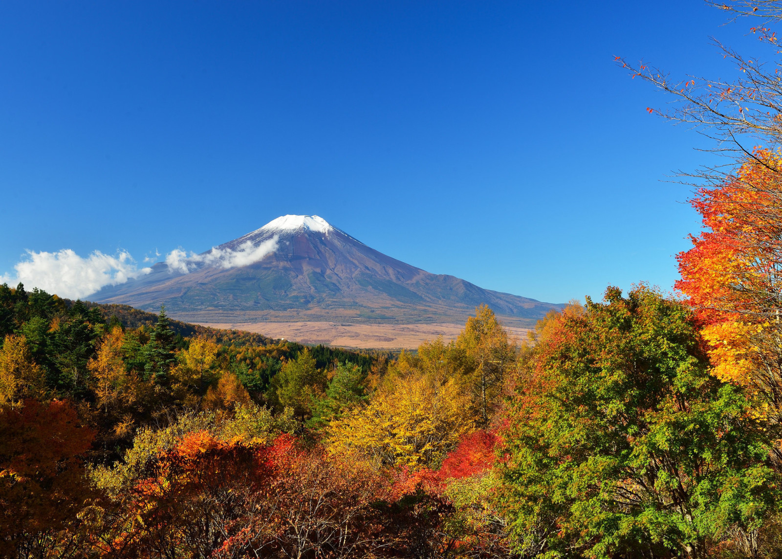 ősz, az ég, fák, Japán, levelek, Fuji