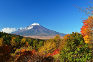 sonbahar, Japonya, yapraklar, Fuji Dağı, gökyüzü, ağaçlar