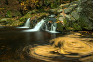 autumn, nature, water