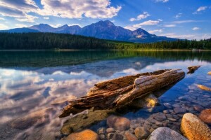 forest, mountains, shore, snag, stones, transparent, water