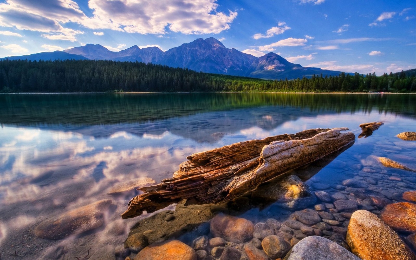 forest, shore, stones, mountains, water, snag, transparent