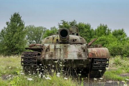 Ejército, tanque, armas