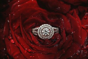 diamonds, petals, ring, rose