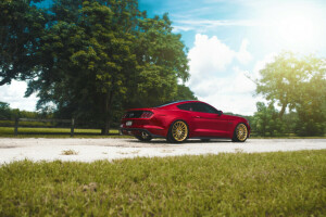 2015, Freios, carro, Ford, luz, músculo, Mustang, Traseira