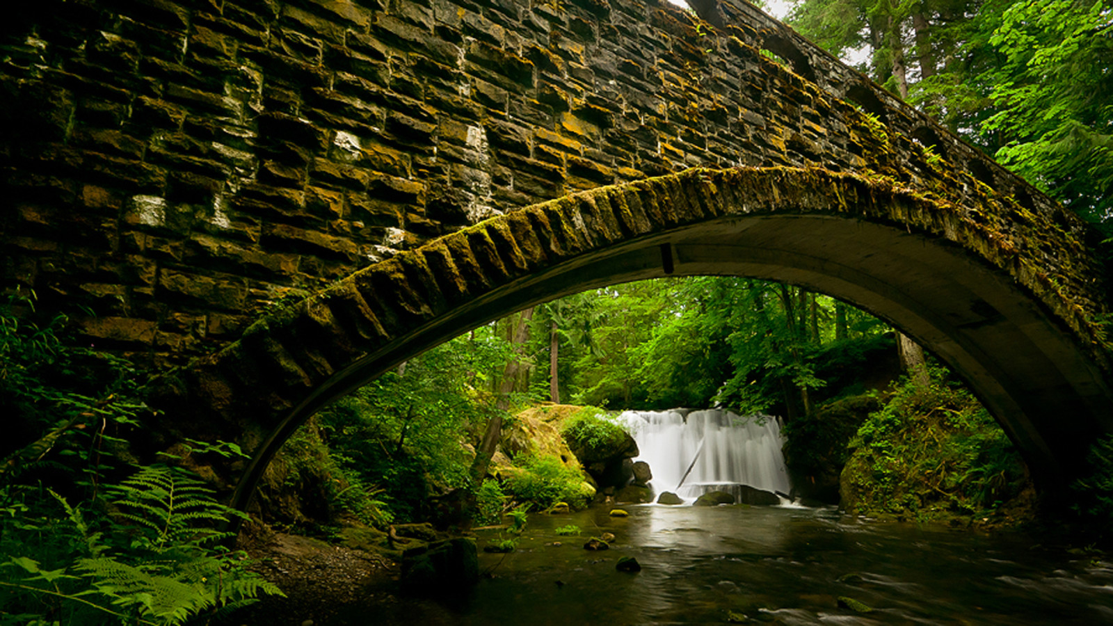 foresta, pietre, cascata, acqua, ponte