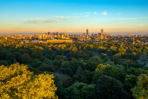 autumn, Bay, Boston, coast, home, the city, the sun, trees