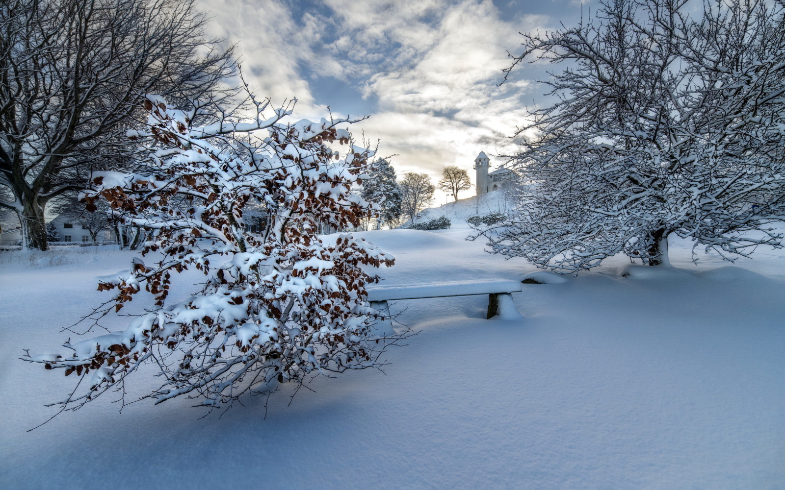 sneeuw, winter, bank